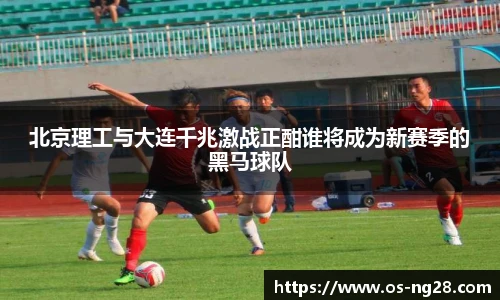 北京理工与大连千兆激战正酣谁将成为新赛季的黑马球队