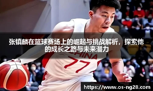 张镇麟在篮球赛场上的崛起与挑战解析，探索他的成长之路与未来潜力
