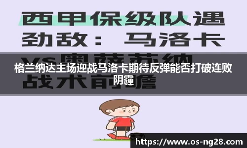 南宫NG28
